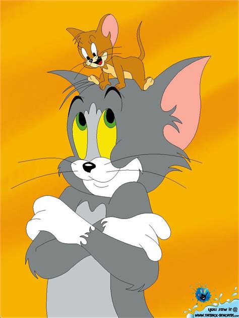 Hình nền Tom and Jerry 3D - Top Những Hình Ảnh Đẹp