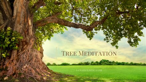 Tree Meditation - LunaHolistic.com