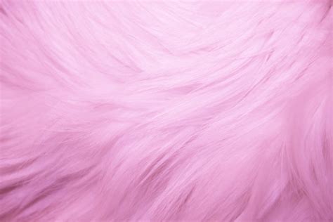 Pink Fur Texture – Photos Public Domain