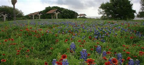 Campground Details - Goose Island State Park, TX - Texas State Parks