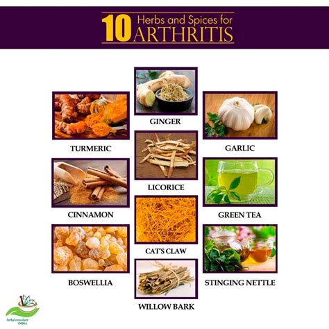 Arthritis | Herbs for arthritis, Herbalism, Herbs