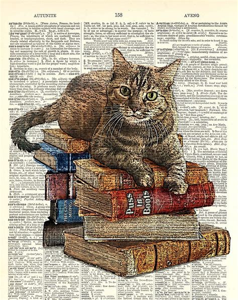 Book Art, Book Page Art, Cycle Drawing, Cat Drawing, Drawing Tips, Illustration Book ...