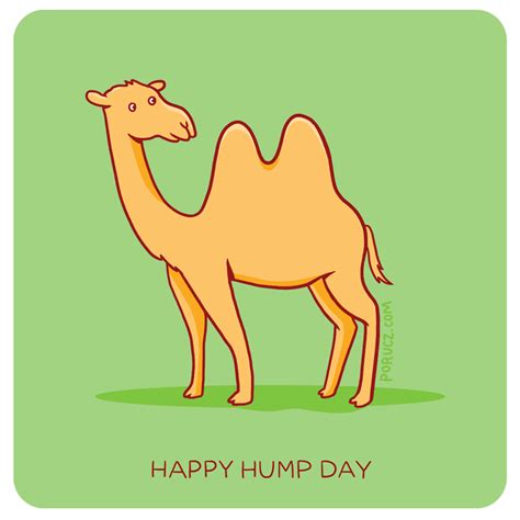 Happy Hump Day Wednesday Camel Camel GIF - Hump Day Wednesday Camel ...