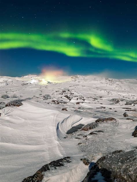 Arctic Tundra | World Biomes | The Wild Classroom