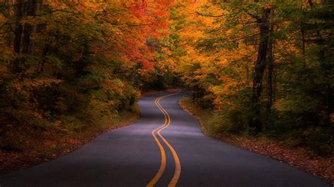 Autumn Road Wallpapers - Top Free Autumn Road Backgrounds - WallpaperAccess