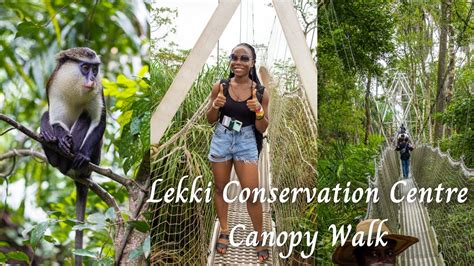 Lekki Conservation Centre Canopy Walk - The Longest Canopy Walkway in ...