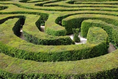 Difference between Labyrinth and Maze