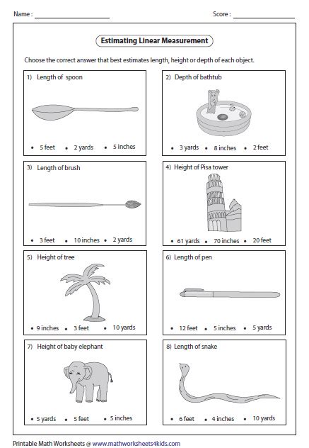 Length And Width Worksheets