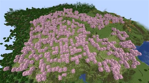 Huge cherry blossom biome with village : r/minecraftseeds