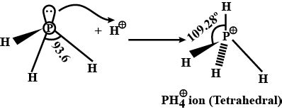 Bond angle in PH_{4}^{+} is higher than that in PH_{3}. Why?