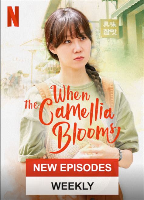 When the Camellia Blooms | Netflix Wiki | Fandom