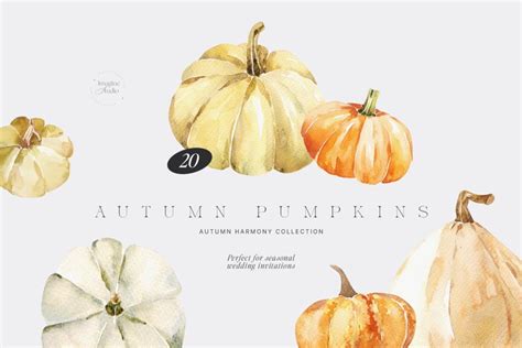 Autumn Pumpkins Clipart, Autumn Pumpkin Collection