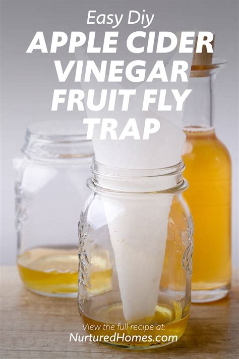 DIY Apple Cider Vinegar Fruit Fly Trap (This Really Works!) - Nurtured Homes