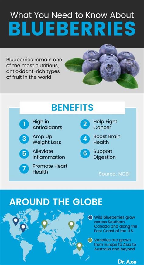 Blueberries: Benefits, Nutrition, Recipes and More - Dr. Axe