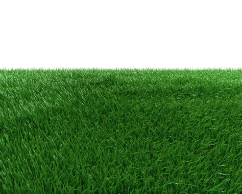 Artificial turf Green Meadow Grasses - Field Transparent Background png download - 999*799 ...