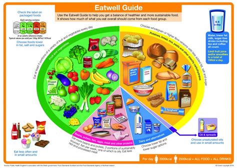 The New Eatwell Guide | Eating well, The eatwell plate, Balanced diet