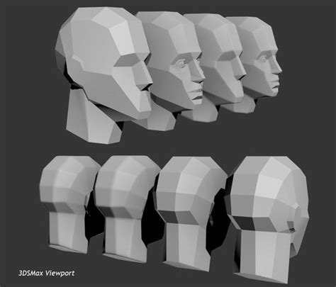 3d model planes head anatomy | Head anatomy, Model planes, Anatomy ...