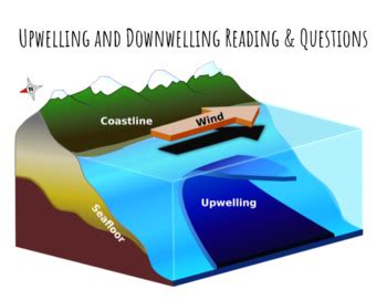 Upwelling and Downwelling Reading & Questions | TpT