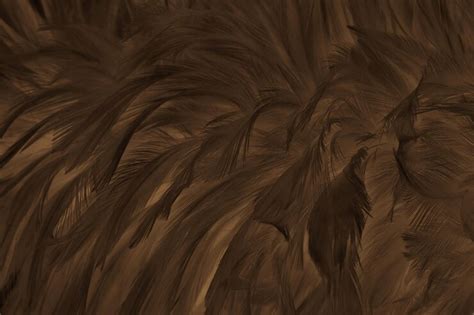 Premium Photo | Beautiful dark brown bird feathers pattern texture background