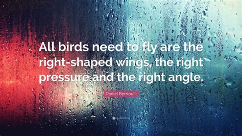 Daniel Bernoulli Quote: “All birds need to fly are the right-shaped ...