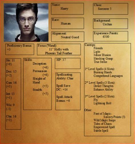 Harry Potter Dungeons & Dragons Character Sheets | Harry potter characters, Harry potter rpg ...