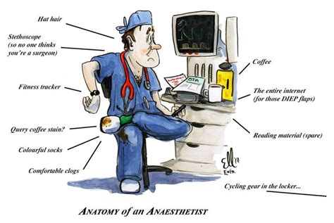 Anatomy of an Anaesthetist – A Second Opinion | Eoin Kelleher | Anesthesia humor, Medical humor ...