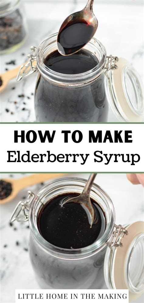 Elderberry Syrup Recipe