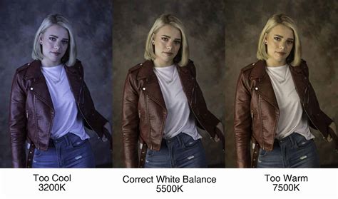 White Balance Basics: A mini-guide for photographers - Improve Photography