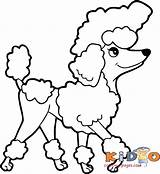Coloring Pages Poodle Free sketch template