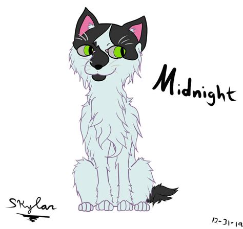 Concept Art: Midnight by SkylarEve on DeviantArt