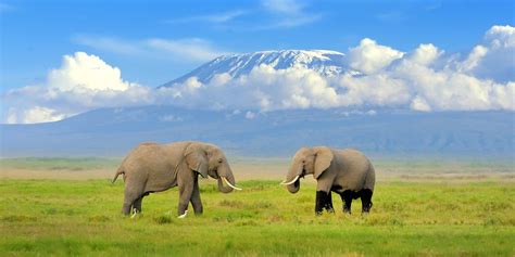 AMBOSELI NATIONAL PARK | Sima Safari