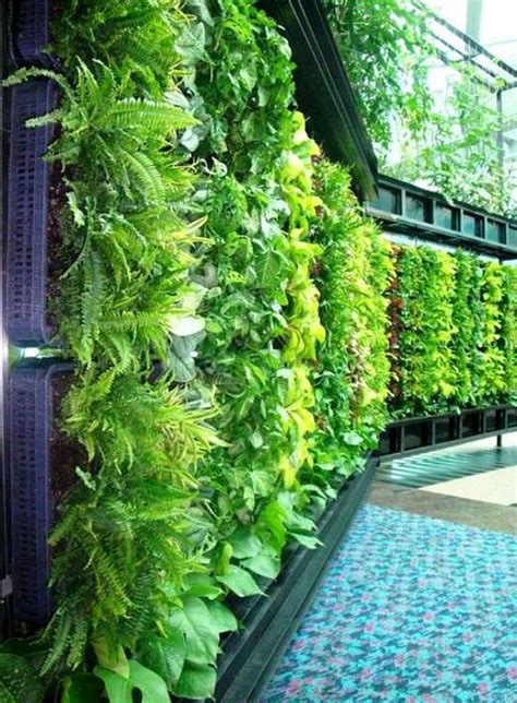 outdoor-green-living-walls