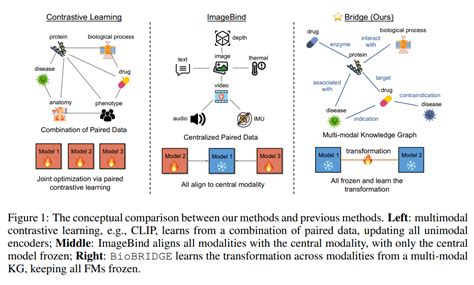 Amazon AI Research Unveils BioBRIDGE: A Streamlined Machine Learning ...