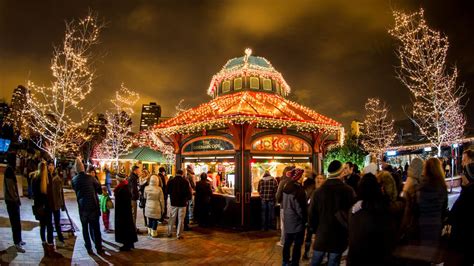 Lincoln Park ZooLights and Its More Than Two Million Lights Are Back | WTTW Chicago