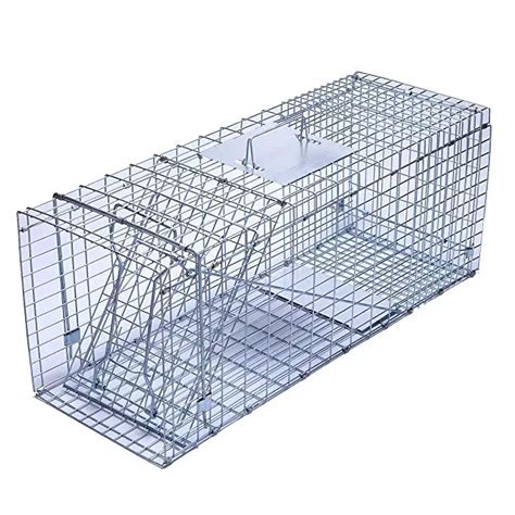 Best Raccoon Traps Reviewed & Rated for Quality - TheGearHunt