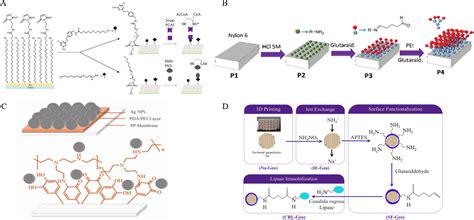 Emerging 3D Printing Strategies for Enzyme Immobilization: Materials, Methods, and Applications ...