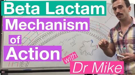 beta- lactamase Mechanism of Action of β-Lactamase Inhibitors – Ohio ...