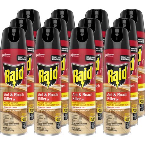 Raid Ant/Roach Killer Spray - Spray - Kills Ants, Cockroaches, Waterbug, Palmetto Bug ...