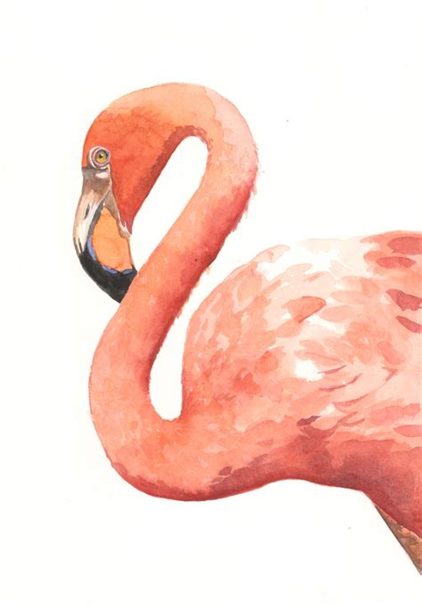 Flamingo Painting print of watercolor painting 5 by 7 print