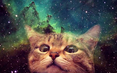 Space Cat HD Wallpapers - Top Những Hình Ảnh Đẹp