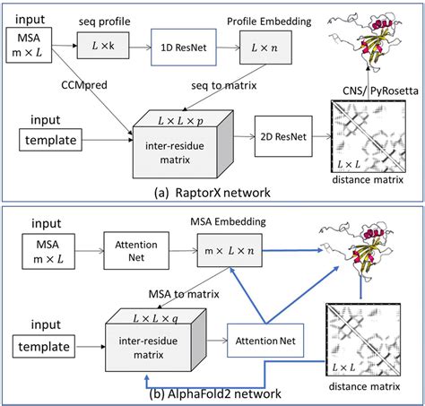 Deep network architectures of (a) RaptorX and (b) AlphaFold2 for ...