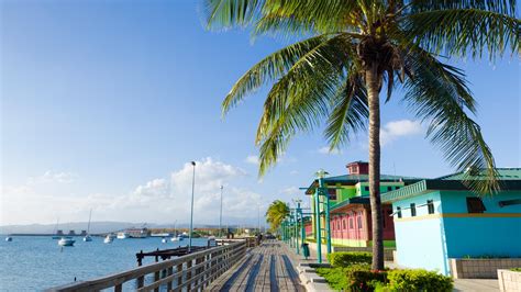 13 Best Hotels in Ponce. Hotels from $70/night - KAYAK