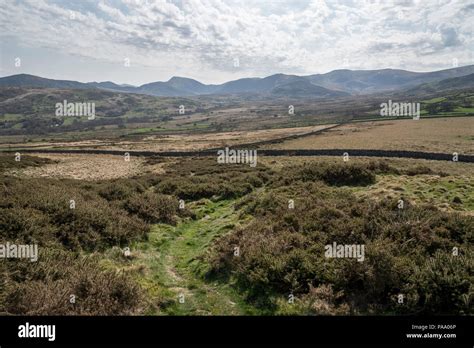 View of the Carneddau mountains from the hill fort at Pen-y-Gaer near ...