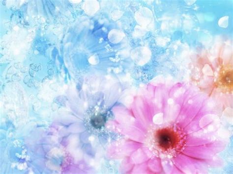 1920x1080px, 1080P free download | Spring Flowers, colorful flowers, purple, blue background ...