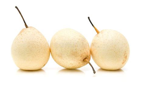 Chinese White Pear stock image. Image of pear, texture - 13273339