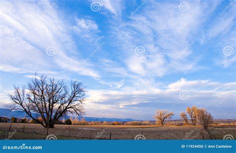 Late Afternoon Rural Scene stock photo. Image of quiet - 11924450