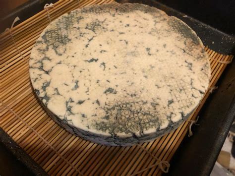 Blue Cheese Mold | How to Make Cheese | Cheese Making