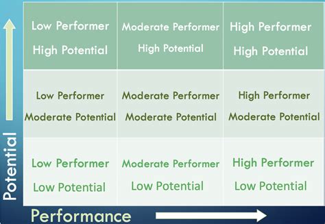 What is the 9-Box Model & How to Use It [Free Template] | Pingboard Blog