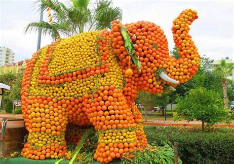 France,pour la fete de citron | Fruit art, Creative, Elephant sculpture