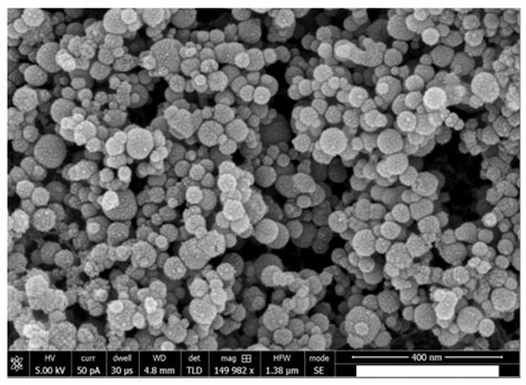 Polymers | Free Full-Text | Influence of Hydroxyapatite Nanospheres in Dentin Adhesive on the ...